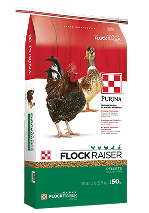 Purina_FlockRaiserPellets_57266