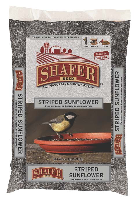 Shafer_Sunflower_Seed_Striped_113921.jpg