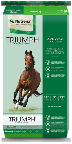 triumph-active-12-textured